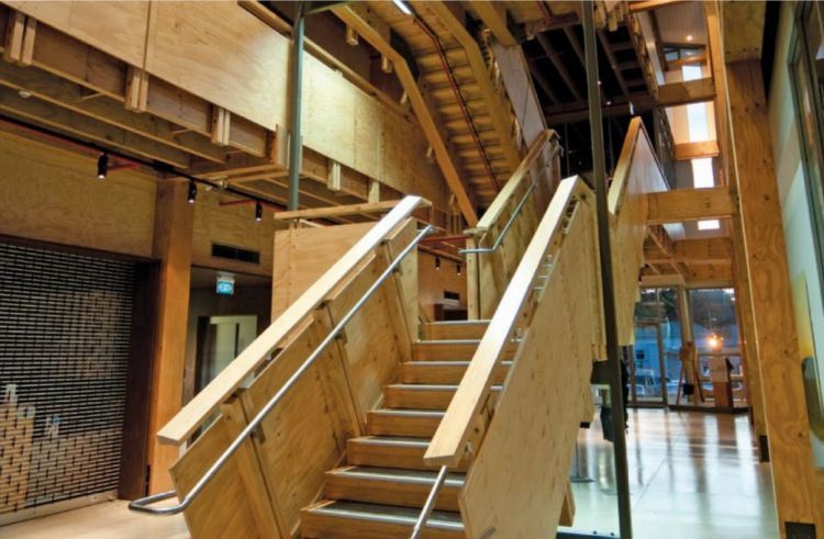 Beam Pine Lumber Lvl